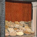 Vraj-Yatra-2014- (806)